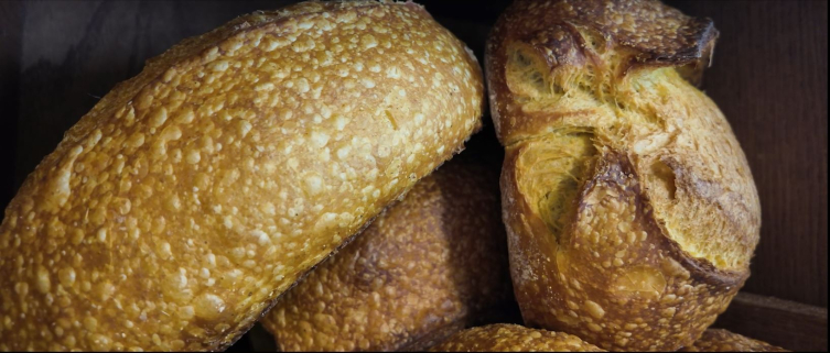 Fotoğraf: TRT Haber